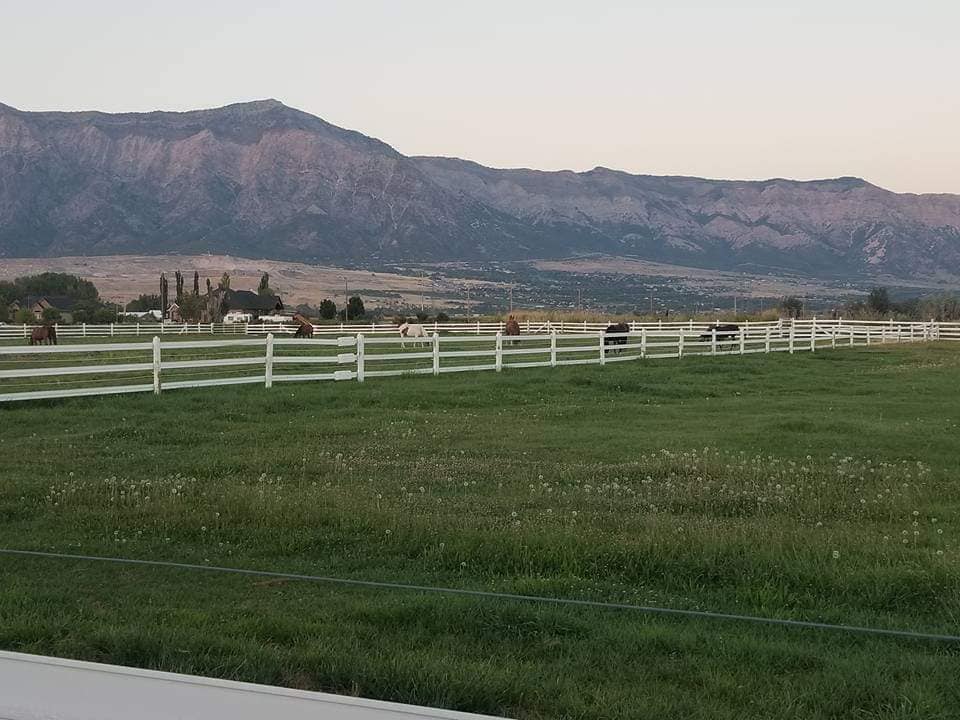 Pasture at Blue Grass Estate — Plain City, Utah