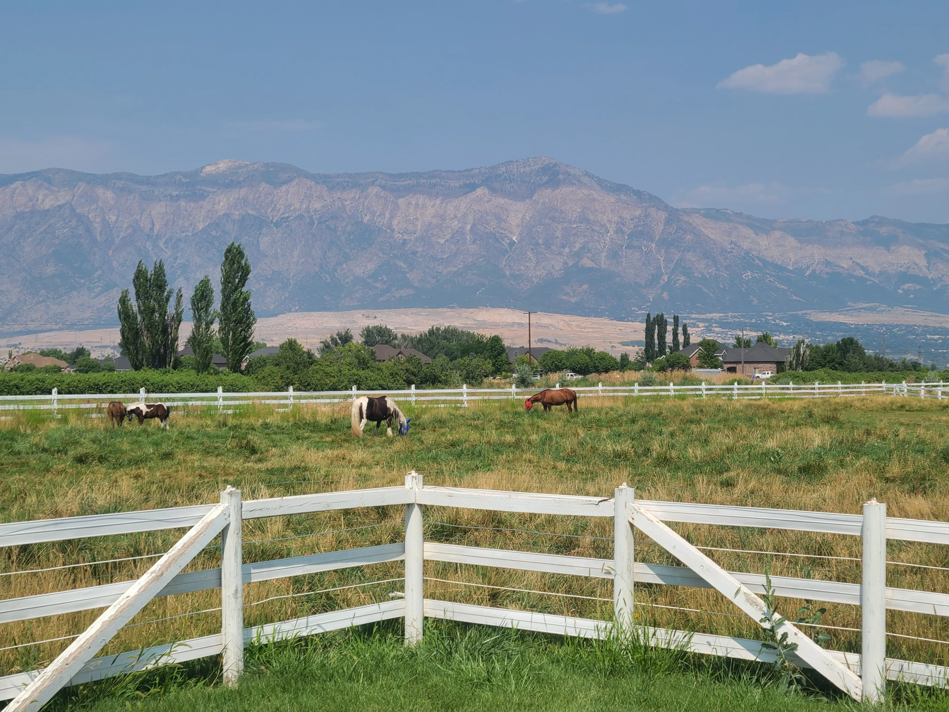 Riding arenas, turnout fields, and horse care facilities at Blue Grass Estate in Plain City, Utah