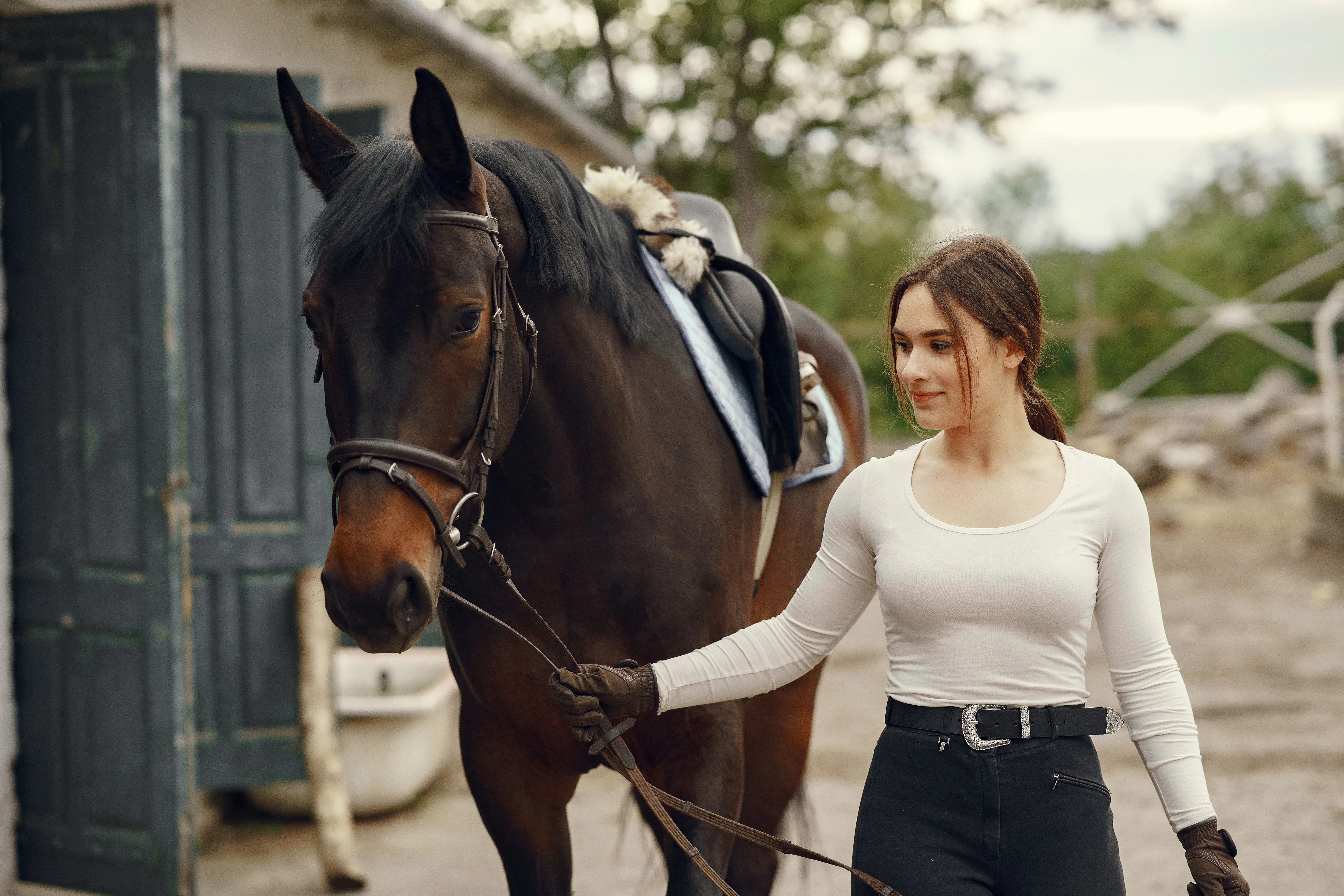 Horse leasing at Blue Grass Estate in Plain City, Utah