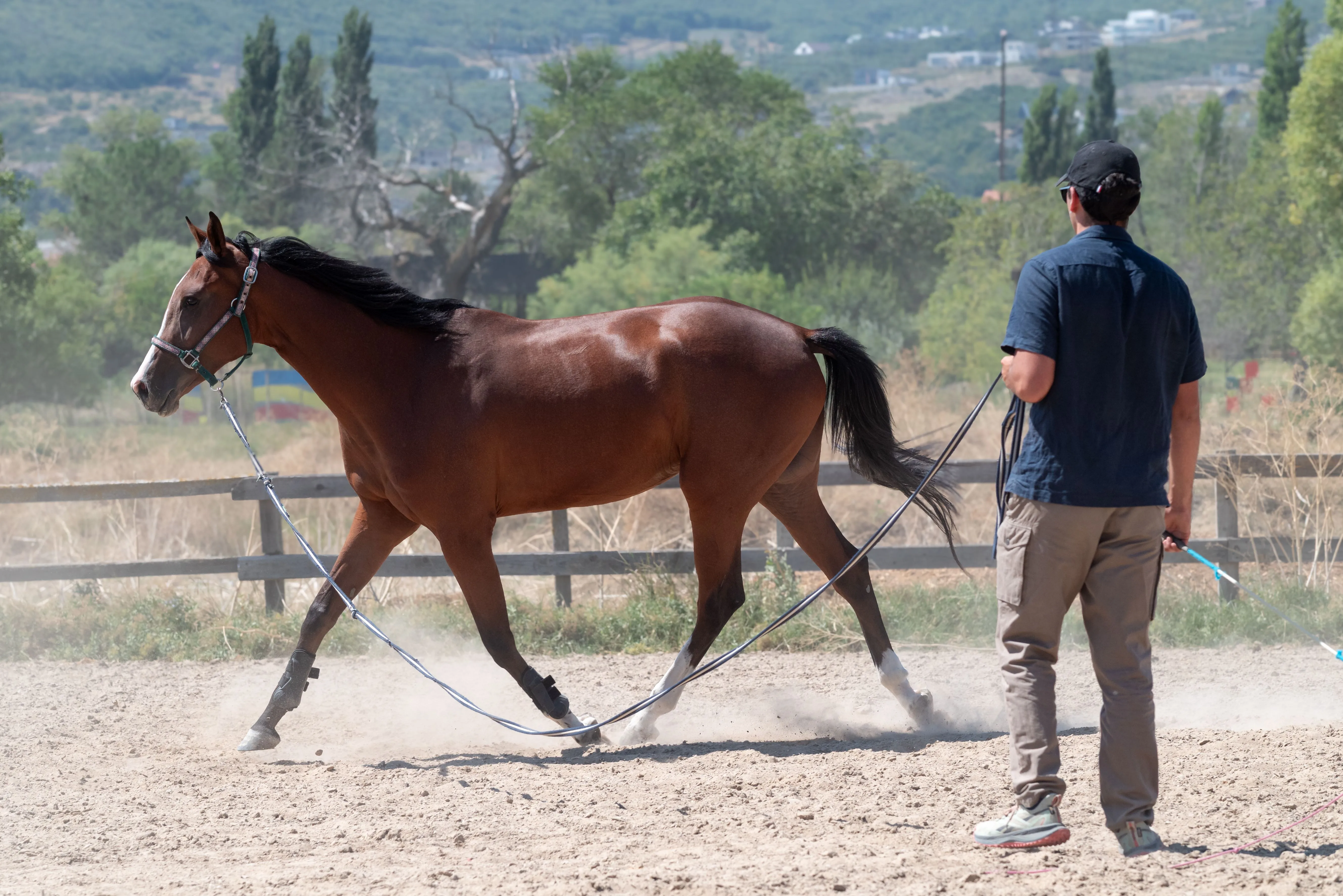 Horsemanship training at Blue Grass Estate in Plain City, Utah